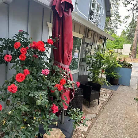 The Pines Inn And Cottages Grass Valley Exterior photo