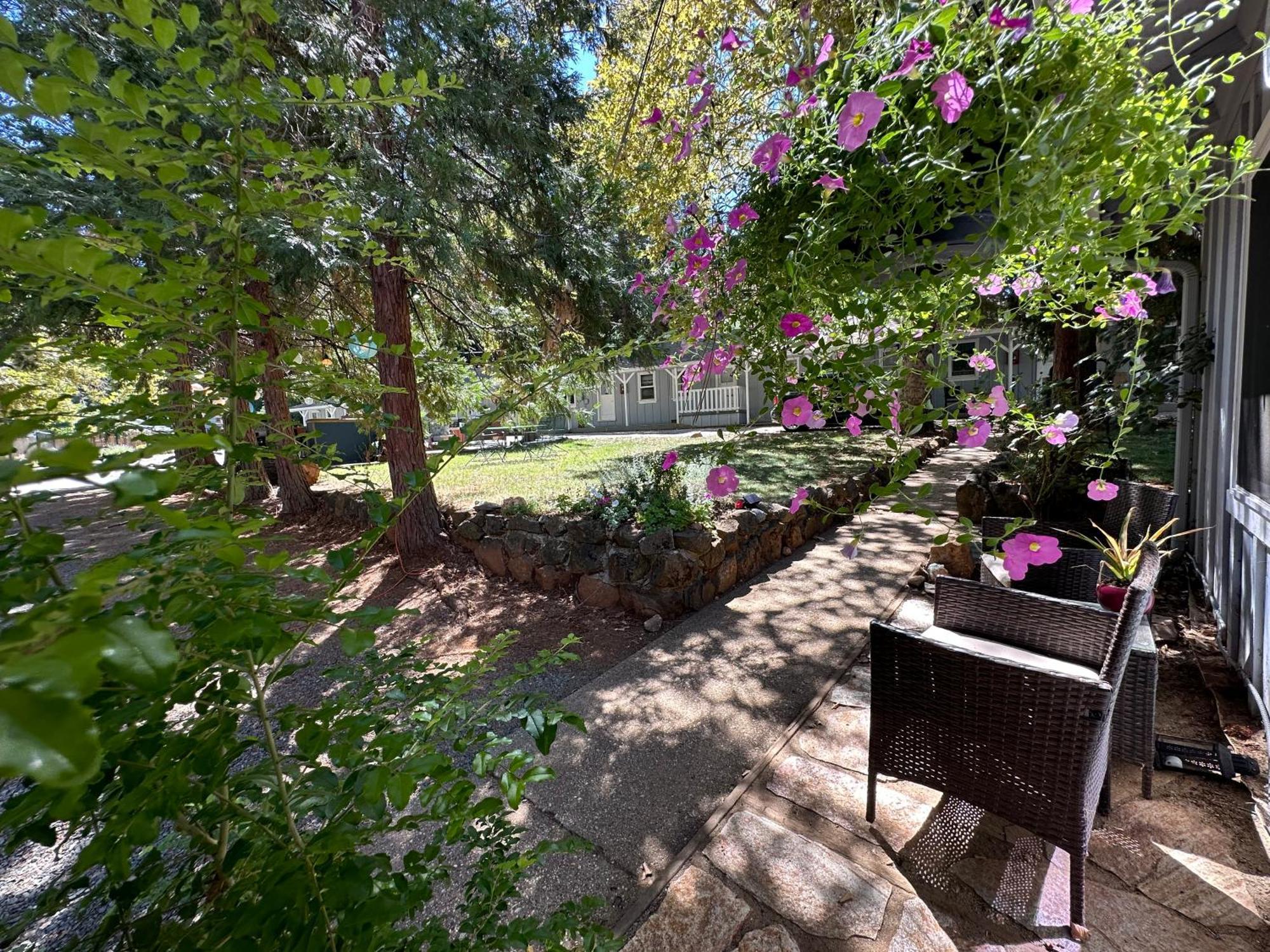 The Pines And Inn Grass Valley