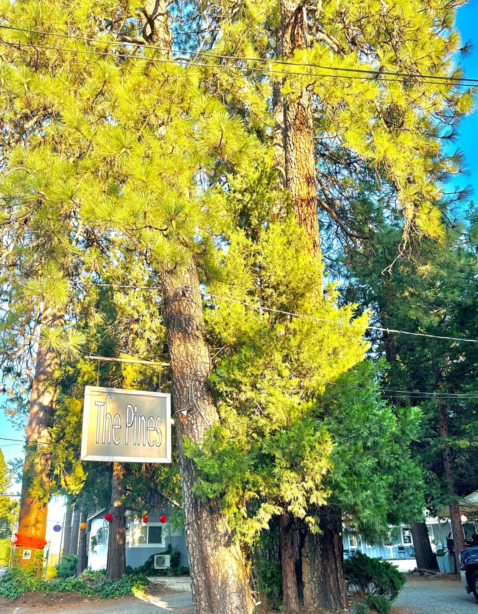Inn The Pines And
