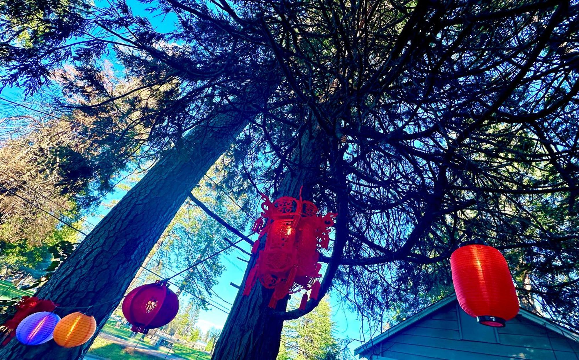 Inn The Pines And 2*