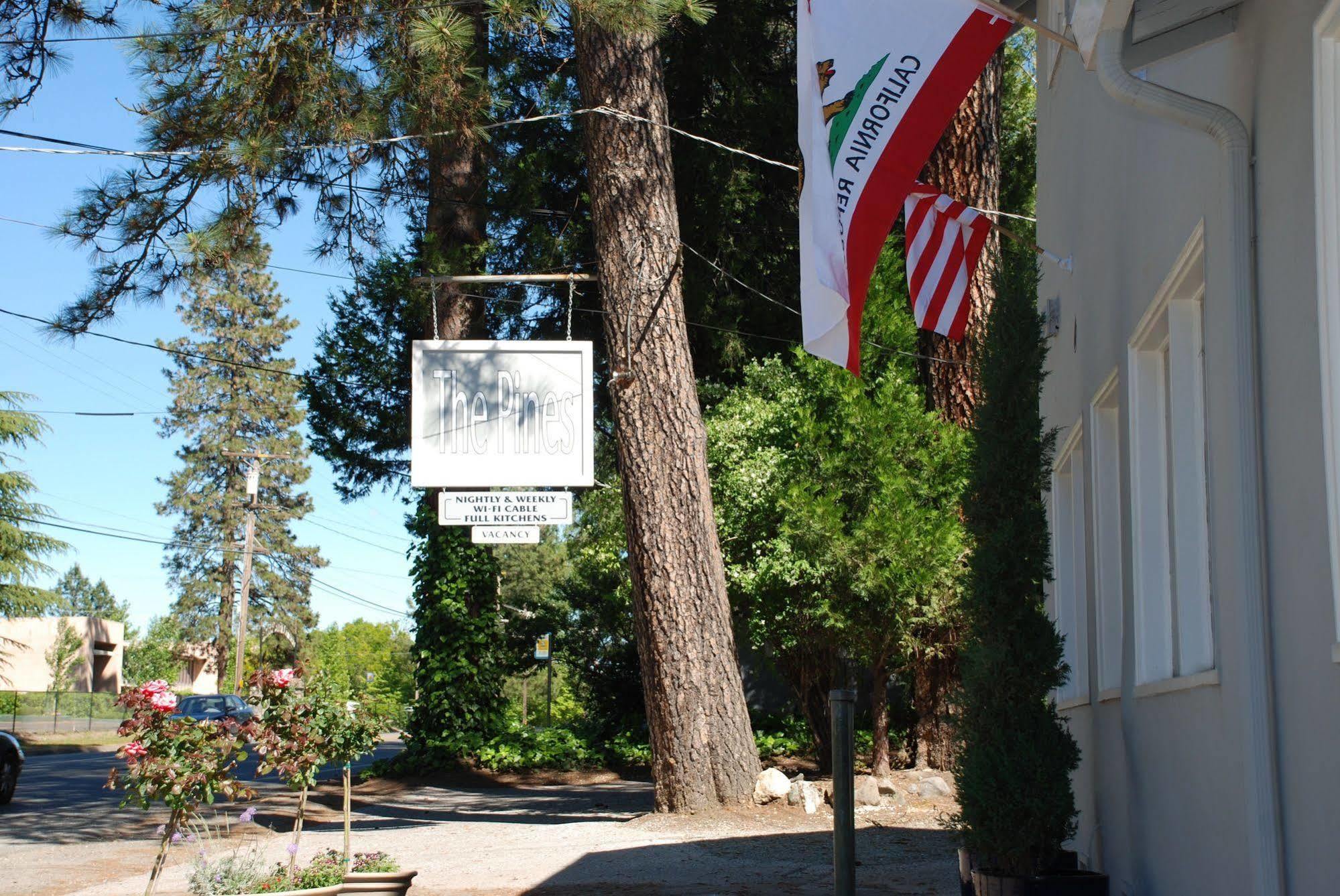 The Pines And